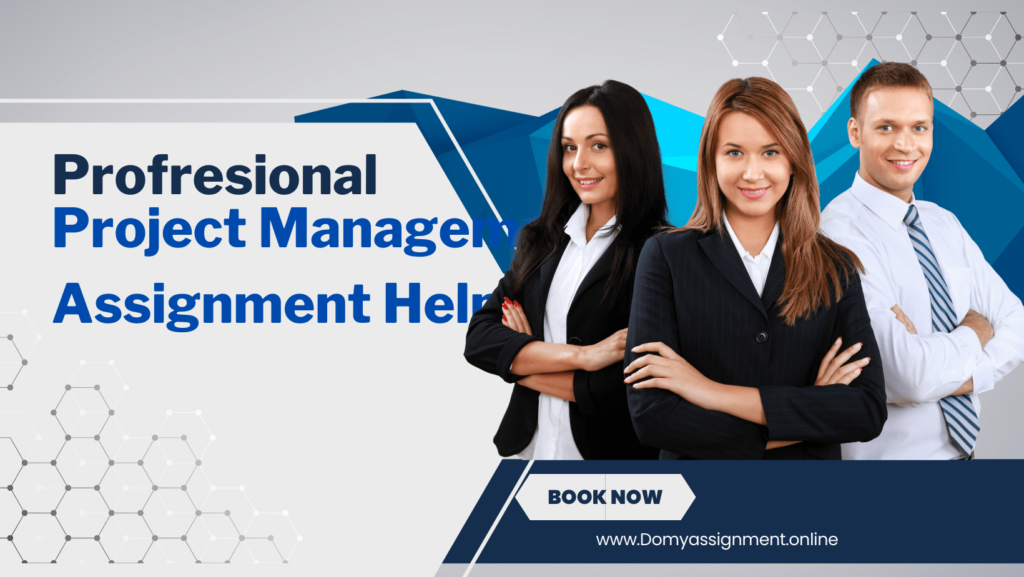 Professional project Management Assignment Help!