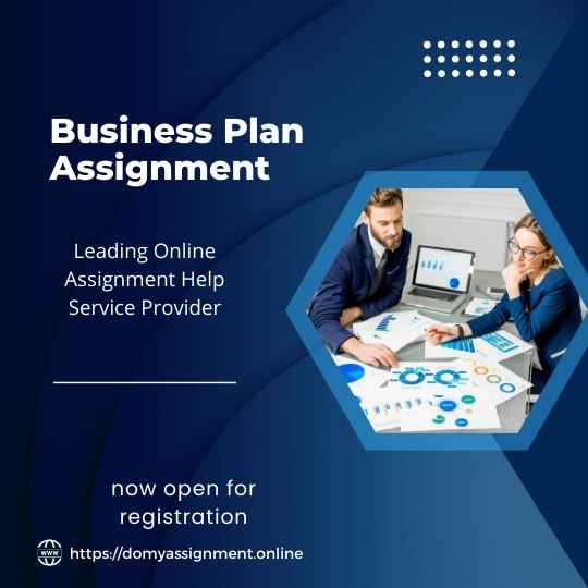 Business Plan Assignment Sample PDF