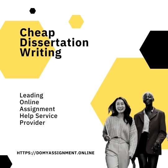 Hire Essay Writer