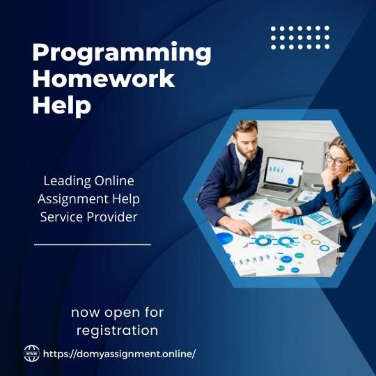 Programming Homework Tutors