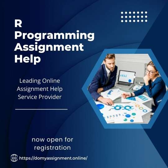 R Programming Project Help
