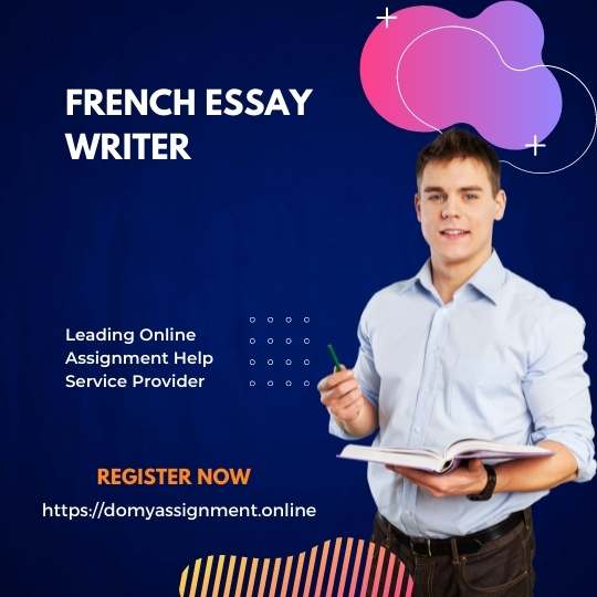 French Essay Checker