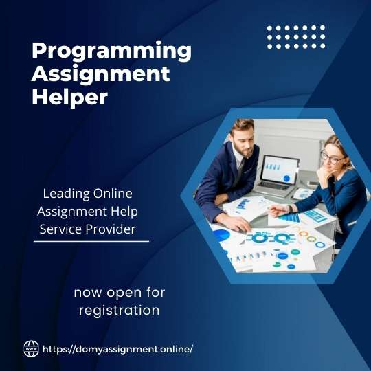 Programming Assignment Help Online