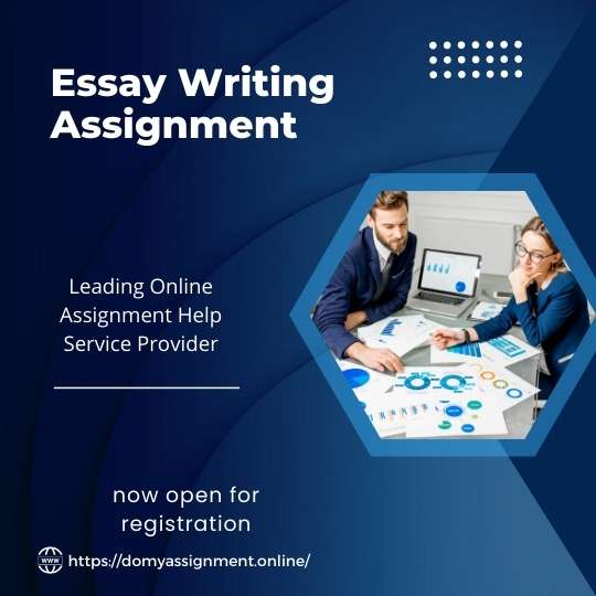 Assignment Essay Example