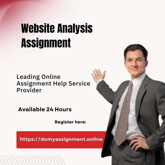 Website Analysis Example