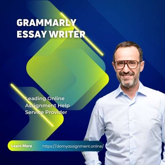 Grammarly Essay Writer