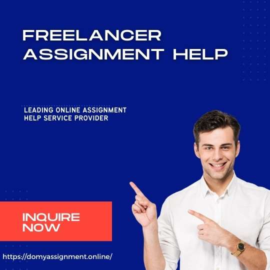 Assignment Making Freelancing