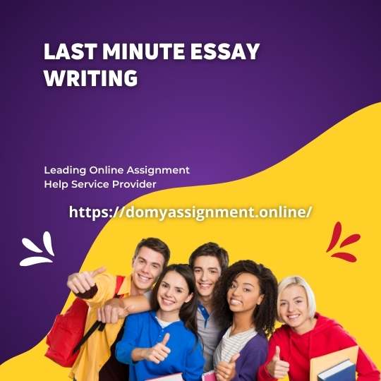 Last Minute Essay Generator