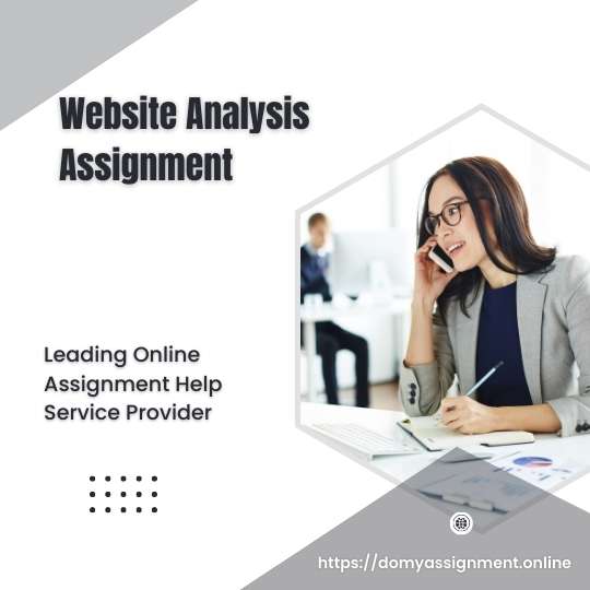 Website Analysis Assignment Example