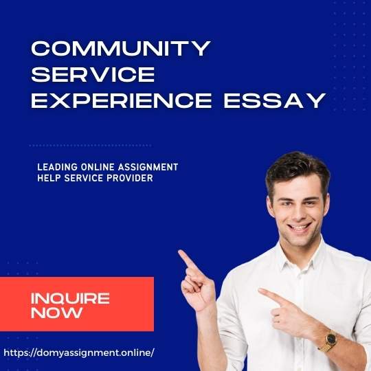 Community Service Introduction Essay