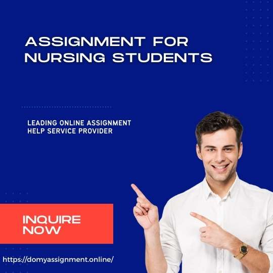 Nursing Assignments Examples