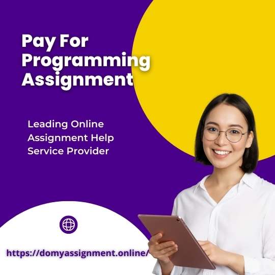 Pay For Programming Assignment