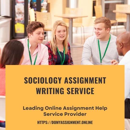 Sociology Assignments For College Students