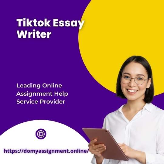 Essay Writer Online